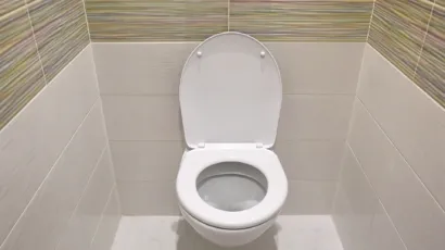 Downstairs toilet Ireland